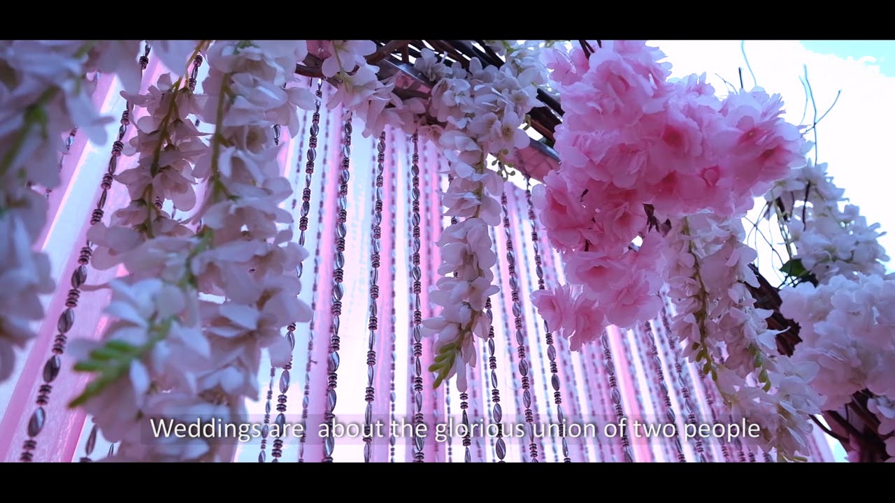 Pink,Lavender,Flower,Plant,Spring,Tree,Petal,Blossom