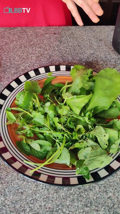 Food,Leaf vegetable,Vegetable,Garden salad,Sorrel,Spinach,Ingredient,Dish,Spring greens,Cruciferous vegetables