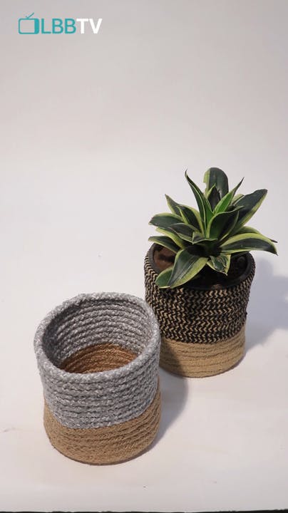 Plant,Flowerpot,Houseplant,Terrestrial plant,Rectangle,Font,Basket,Grass,Fashion accessory,Flowering plant